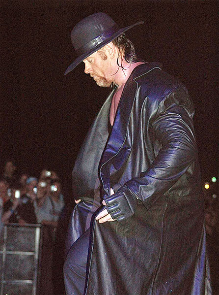 wwe undertaker.jpg